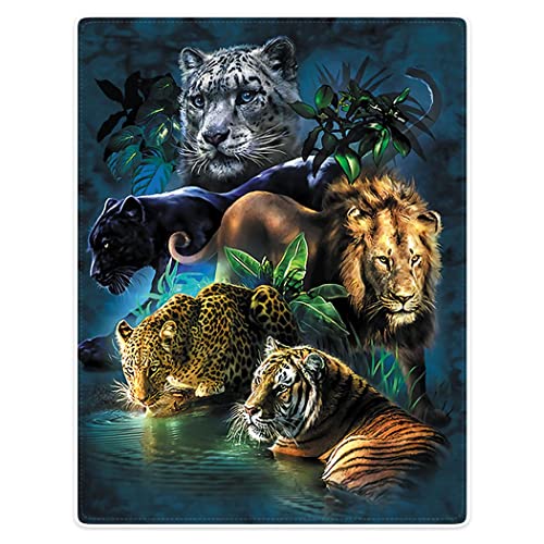 YISUMEI Decke 150x200cm Tiger Gepard Löwe Weich Kuscheldecke Geschenk Sanft Flanell Fleecedecke