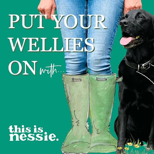 Put Your Wellies On cover art
