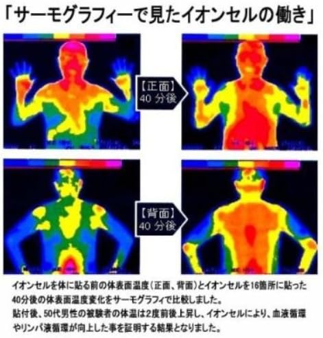 楽天市場 リチウムイオン充電池 18650型 単4 1本 2000mah 単4型 単4形 単四 充電 電池 充電式電池 保護回路付き リチウム 二次電池 リチウム2次電池 バッテリー 充電式 充電式乾電池 おすすめ 充電地 じゅうでんち Bt 18650 Apex看板