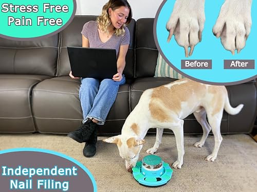 Nail-File-Toy-Dog-Scratch-Pad-for-Nails-Dog-Nail-Scratch-Board-Scratching-Board-for-Dogs-Scratching-Pads-Files-Scratcher-SlowPuzzle-Feeder-WTreat-Box-Dispenser-Trimmer-Grinder-Filer Nail File Toy Dog Scratch Pad for Nails Dog Nail Scratch Board Scratching Board for Dogs Scratching Pads Files Scratcher SlowPuzzle Feeder WTreat Box Dispenser Trimmer Grinder Filer