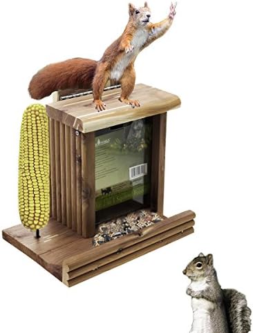 2 in 1 Red Cedar Squirrel Feeder Corn Cob Ear Holder Food Munch Bin Wood Box