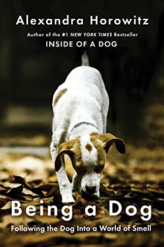 Being a Dog: Following the Dog Into a World of
