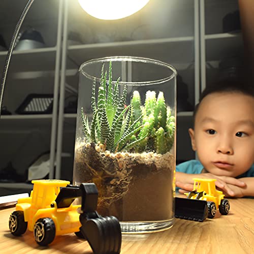 LED Plant Lamp Groeilamp E27 Bollen,Kweeklamp 50 leds,Plantengroei Licht Grow Light for Indoor Plants 4000K Volledig… - Image 3