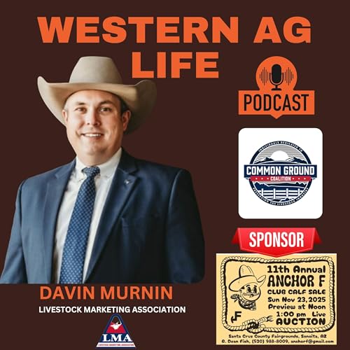 Davin Murnin - Western region representative for the LMA
