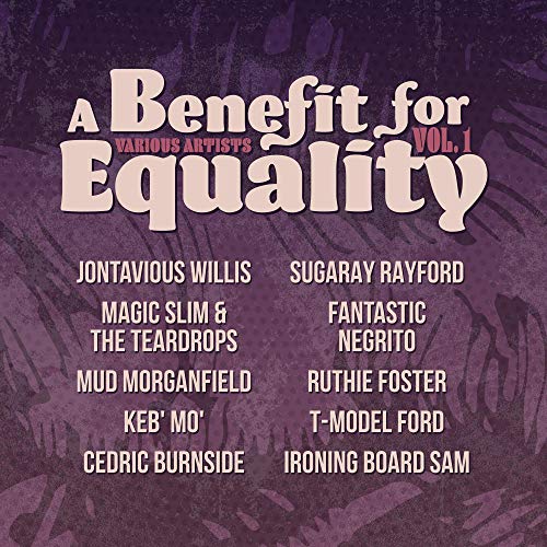 Benefit For Equality 1