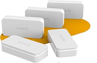 Somfy 2401488 - Pack de 5 IntelliTAG - Détecteurs Auto-protégés de Vibration pour intérieur ou extérieur - Détection Avant l'ouverture - Compatibles One (+) & Home Alarm (Advanced et Essential)