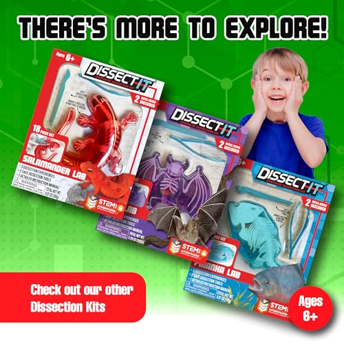 Image of Top Secret Toys Dissect-It Mini Labs Frog Dissection Kit for Kids, Realistic Synthetic Kids Science Kit - On, Biology and Animal Anatomy, STEM Toy, Ages 6+