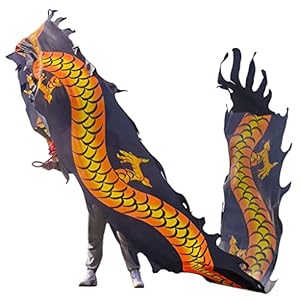 Schudden Poi Fitness Dragon Dance Lint Streamer met Dragon Head Zijde Flowy Schudden Flinging Chinese Dragon Dance Lint…