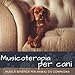 Musicoterapia per cani - Musica benefica per animali da compagnia