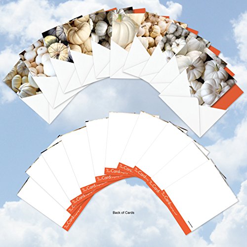 The Best Card Company - 10 Halloween Note Cards Assorted (4 X 5.12 Inch) - Fun And Spooky Kids Cards, Boxed Set - Pale Pumpkins Mq4192Hwg-B1X10 #TOP6