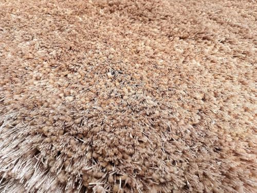 Image of Carpet for Living Room 5X7 FEET Modern Soft Shaggy Carpet Thick, Fluffy & 2 inch Pile Shag Rug for Your Kids Room, Bedroom & Livingroom (Beige A)