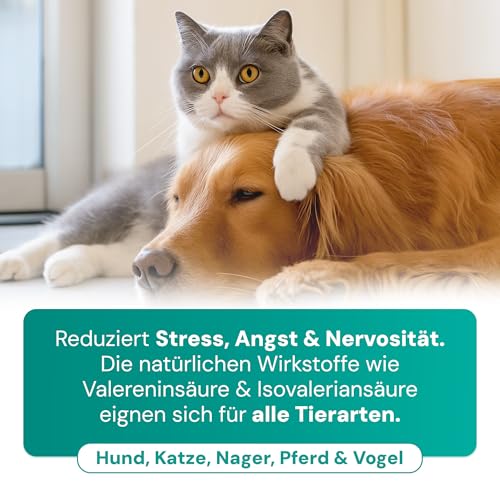 Emmi-pet Remedy Beruhigender Duftstecker mit Nachfüllung I Natürliches Anti-Stress Mittel für Haustiere I Beruhigung bei Angst, Stress, Feuerwerk & Tierarzt I Für Hund, Katze, Nager, Vogel & Pferd