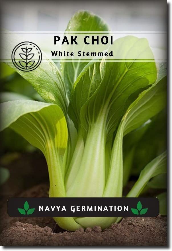 25g Pak Choi Bok Choy Hybrid Vegetables Seeds Packet For Your Home Plant and Gardening (B082DK3452) Amazon Price History, Amazon Price Tracker