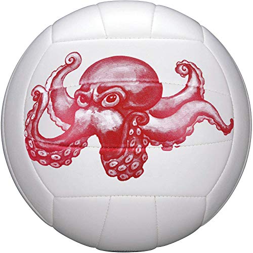 Wisdom Leaves Volleyballs Official Size 5,Soft Indoor Outdoor Volleyball for Kids/Youth/Adults Gym Beach Play Games