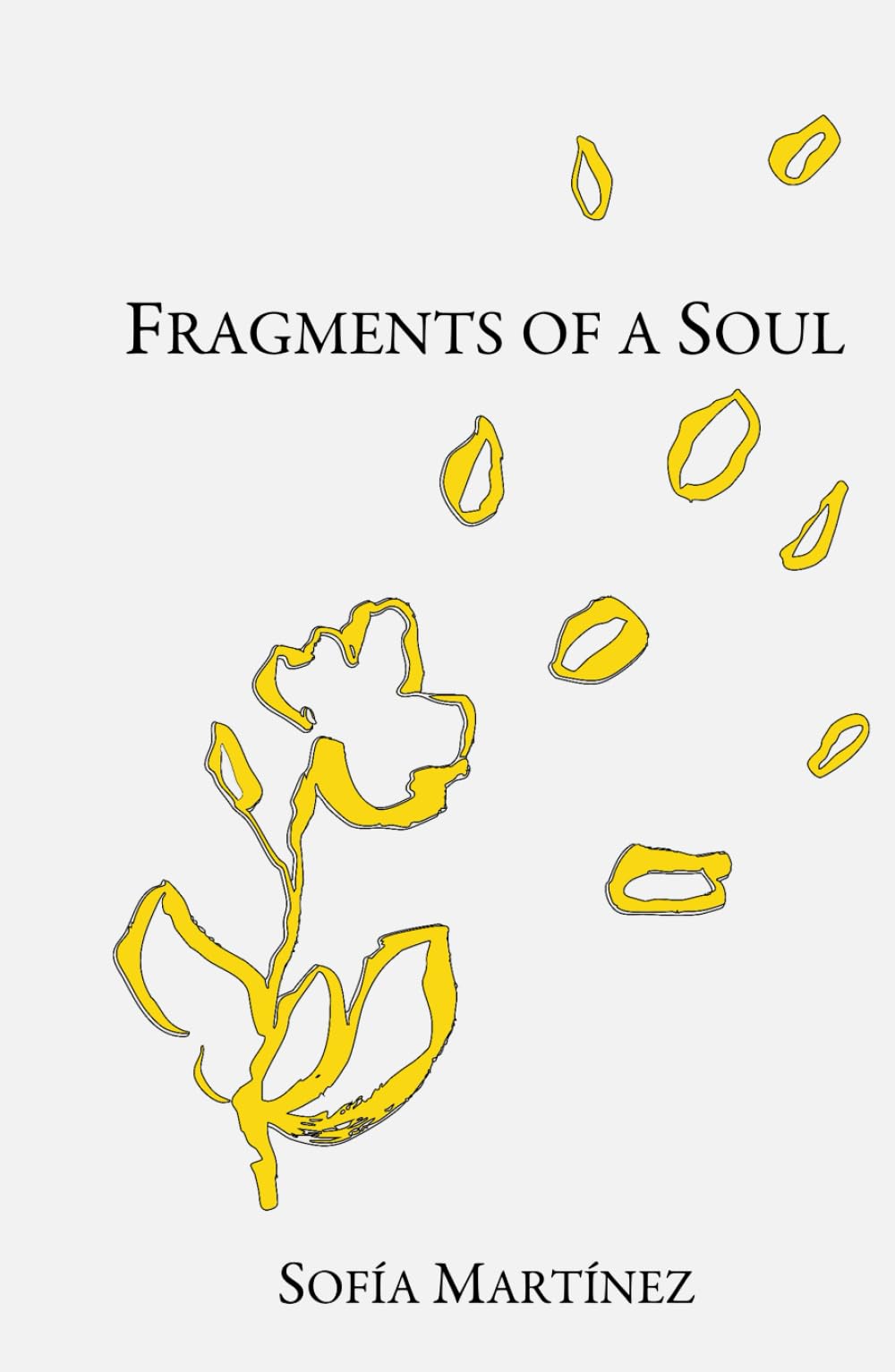 Fragments of a Soul
