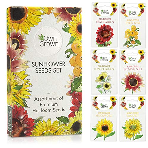 Sunflower Seeds to Plant: Premium Sunflower Seeds Set with 6 Varieties â€“ GMO Free Sunflower Seed Packets with Flower Seeds â€“ Garden Flower Seeds â€“ Sunflower Grow Kit and Sunflower Set by OwnGrown