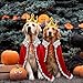 XIMISHOP Halloween Huastier Kostüme König,Hunde und Katze Umhang Rot Halloween Cosplay Lux Mantel Für Prinz und Prinzessin