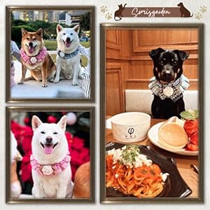 Tweed Ruffles Collar, Christmas Dog & Cat Bandanas, Pet Scarf for Birthday Gift, Premium Durable Fabric Holiday Costume for Small Medium & Large Dogs (Pink & Small) Tweed Ruffles Collar Christmas Dog Cat Bandanas Pet Scarf for Birthday Gift Premium Durable Fabric Holiday Costume for Small Medium Large Dogs Pink Small