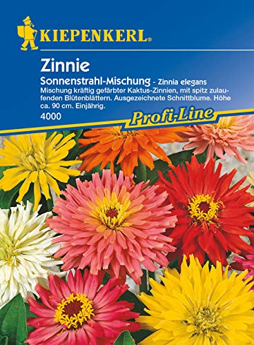 Kiepenkerl Zinnie Sonnenstrahl-Mischung