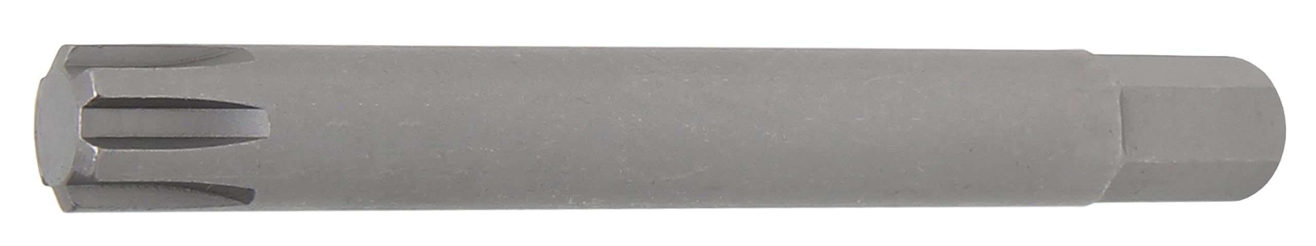 BGS 4778 | Bit | Length 100 mm | 10 mm (3/8") Drive | Spline (for RIBE) M12