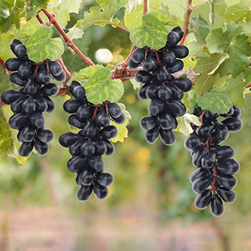 Woration 4 Bunches Artificial Grape Lifelike Simulation Fruit Decorative Fake Black Grapes With Vines Kitchen Office Garden Home Prop Cabinet Display (36 Kernels) #TOP4