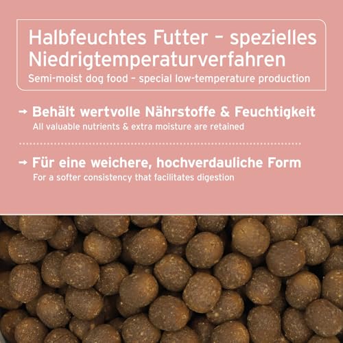AniForte Lachs Trockenfutter für Hunde 2kg – Frischer Lachs mit Kartoffeln & Vitaminen, Halbfeuchtes Trockenfutter, Hundefutter trocken getreidefrei & glutenfrei für Allergiker