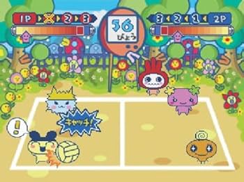 51HPo7aeOKL._AC_UF350,