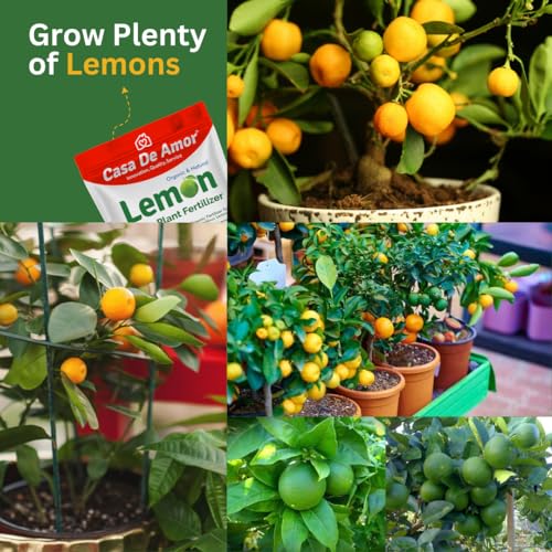 Image of Casa De Amor Lemon Plant Organic Fertilizer for Citrus and Lemon Tree Growth and Fruit Yield | Indoor & Outdoor Gardening | 5 kg