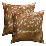 Throw Pillows Spotted