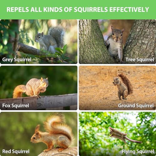 Magic Cat SQ-10 Squirrel Repellent Outdoor thumb #4
