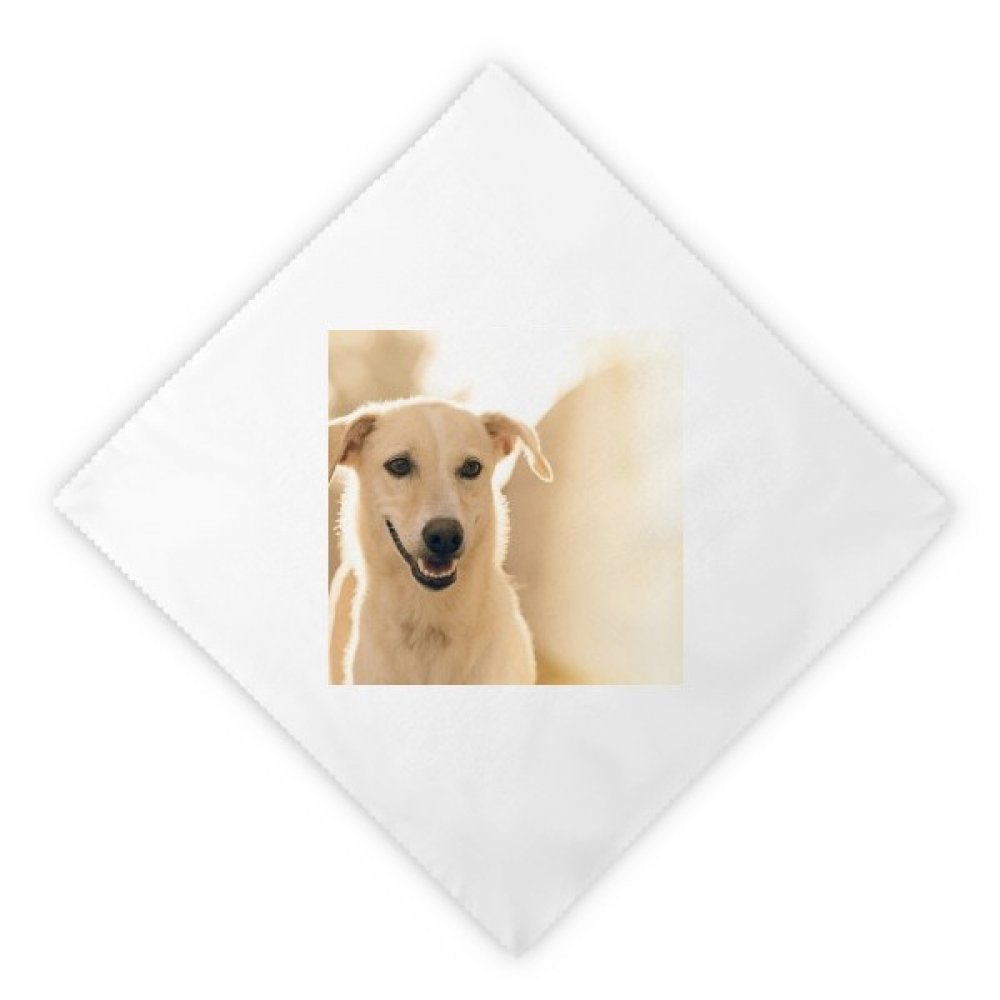 Serviettes en tissu lavables Sourire Blanc Pet Dog imprimé multicolore 2Pcs