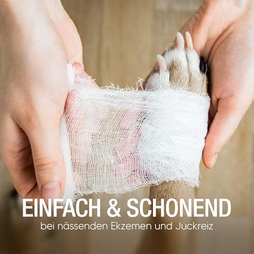 Pawlie's Wundsalbe für Hunde & Katzen (50ml) | Schnelle Regeneration & sanfte Reinigung | Anti-Juckreiz-Formel für gereizte Haut | Einfach & sicher (auch bei Ablecken) | Made in Germany