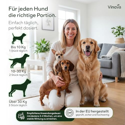 FloraCare+ Probiotika Hund – Darmkur bei Durchfall, Blähungen & Sodbrennen | Darmflora aufbauen & Magen-Darm stärken | Präbiotika + Probiotika für Hunde | Magenschutz & Darmwohl | 60 Stück