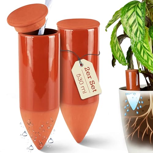 LIVONDO Terracotta Gießhilfe (2X 530 ml) handgefertigt für Bewässerung Zimmerpflanzen | Wasserstandsanzeiger Pflanzen | Watering can | Gießkanne Zimmerpflanzen