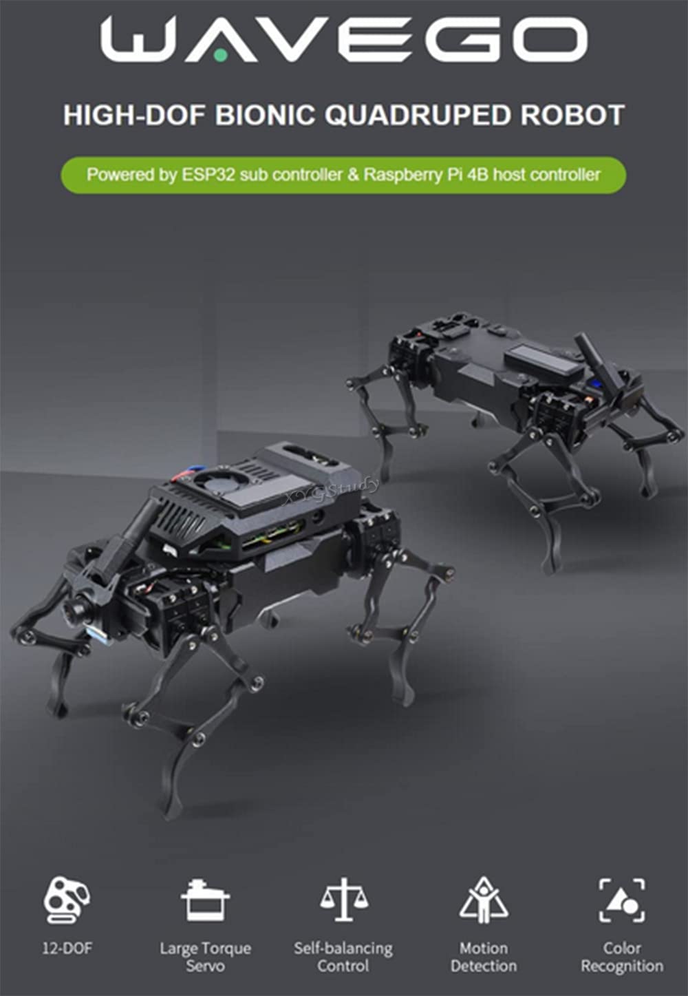 Amazon.com: WAVEGO 12-DOF Bionic Dog-Like Robot with Open Source