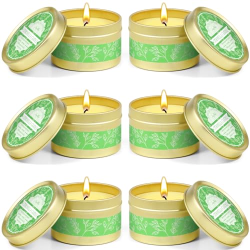 Velas de Citronela para Exterior, Velas Citronela Cera de Soja 60-90 Horas Vela Interior de Limón para Camping, Jardín, Fiestas Familiar, 6 Velas
