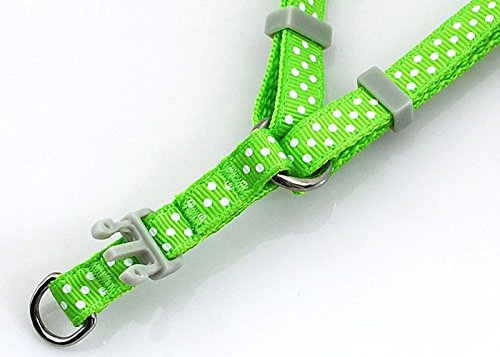 SMALLLEE_LUCKY_STORE 12"-18" Nylon Pet Dog Polka Dots Strap Harness Leash Set, Small, Green - Image 4