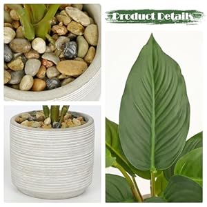Small Fake Plants Indoor 14.5 Inch Potted Plant Artificial Decor 12 Leaves Faux Plant with Cement Pot Silk House Plants for Home Office Bathroom Kitchen Farmhouse Table Centerpieces Shelf Decor Small Fake Plants Indoor 145 Inch Potted Plant Artificial Decor 12 Leaves Faux Plant with Cement Pot Silk House Plants for Home Office Bathroom Kitchen Farmhouse Table Centerpieces Shelf Decor