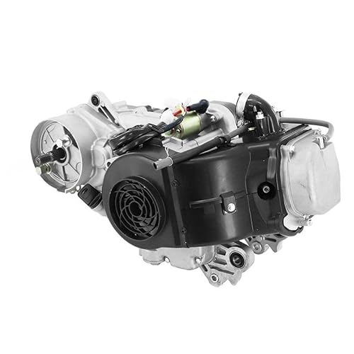cyclingcolors Kompletter Motor für chinesische 50ccm Roller, kompatibel mit Gy6 139QMB Peugeot V Click Baotian BT49QT Rex (Länge 400mm)