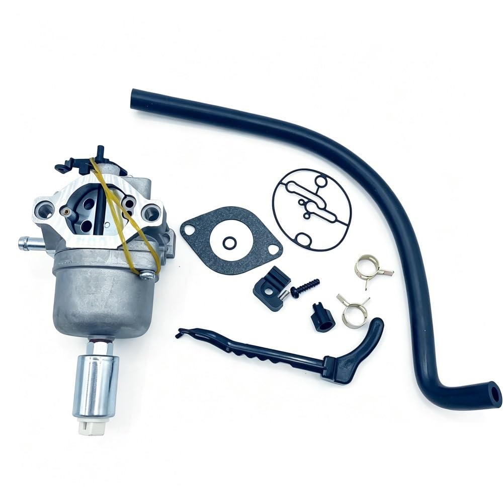 Carburateur de moteur 799727 pour réparer les pannes de démarrage et fuites d'essence