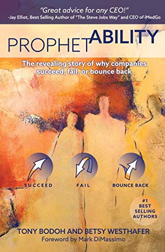 Télécharger ProphetAbility: The Revealing Story of Why Companies Succeed, Fail or Bounce Back (English Edition) Francais PDF