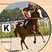 ITULCYO 8PC Dressage Letters Arena Markers，Dressage Letters for Arena Equestrian Athletes Letters Dressage Arena Letters Arena Dressage Letters Dressage Arena Markers Letters（A，B，C，E，F，H，K，M）