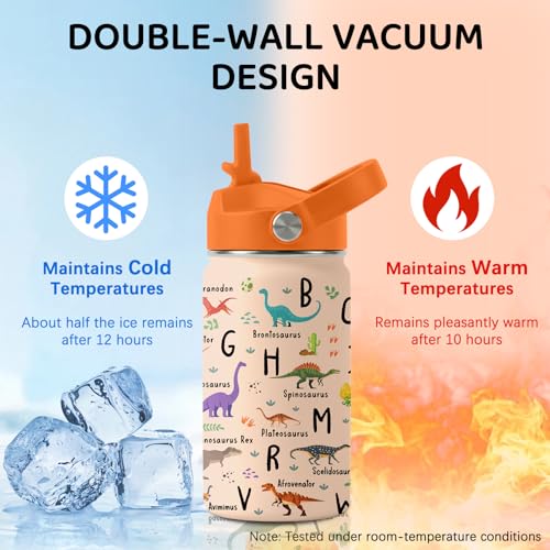 Image of Dinosaur Water Bottle for Son & Daughter, Stainless Steel Insulated Tumbler with Straw Lid and Handle, 12oz Reusable Leak-Proof Bottle for Sports