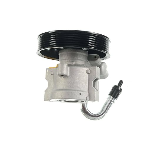 Power Steering Pump wPulley for Chevrolet Aveo Pontiac G3 Wave l4 1.6L 20-806