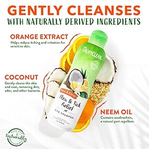 TropiClean Citrus & Neem Oil Flea Shampoo for Dogs | Tick and Flea Bite Relief for Dogs | Natural Dog Shampoo Derived from Natural Ingredients | Made in the USA | 20 oz. TropiClean Citrus & Neem Oil Flea Shampoo for Dogs | Tick and Flea Bite Relief for Dogs | Natural Dog Shampoo Derived from Natural Ingredients | Made in the USA | 20 oz.