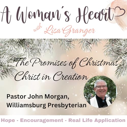 Promises of Christmas, John Morgan: Christ in Creation