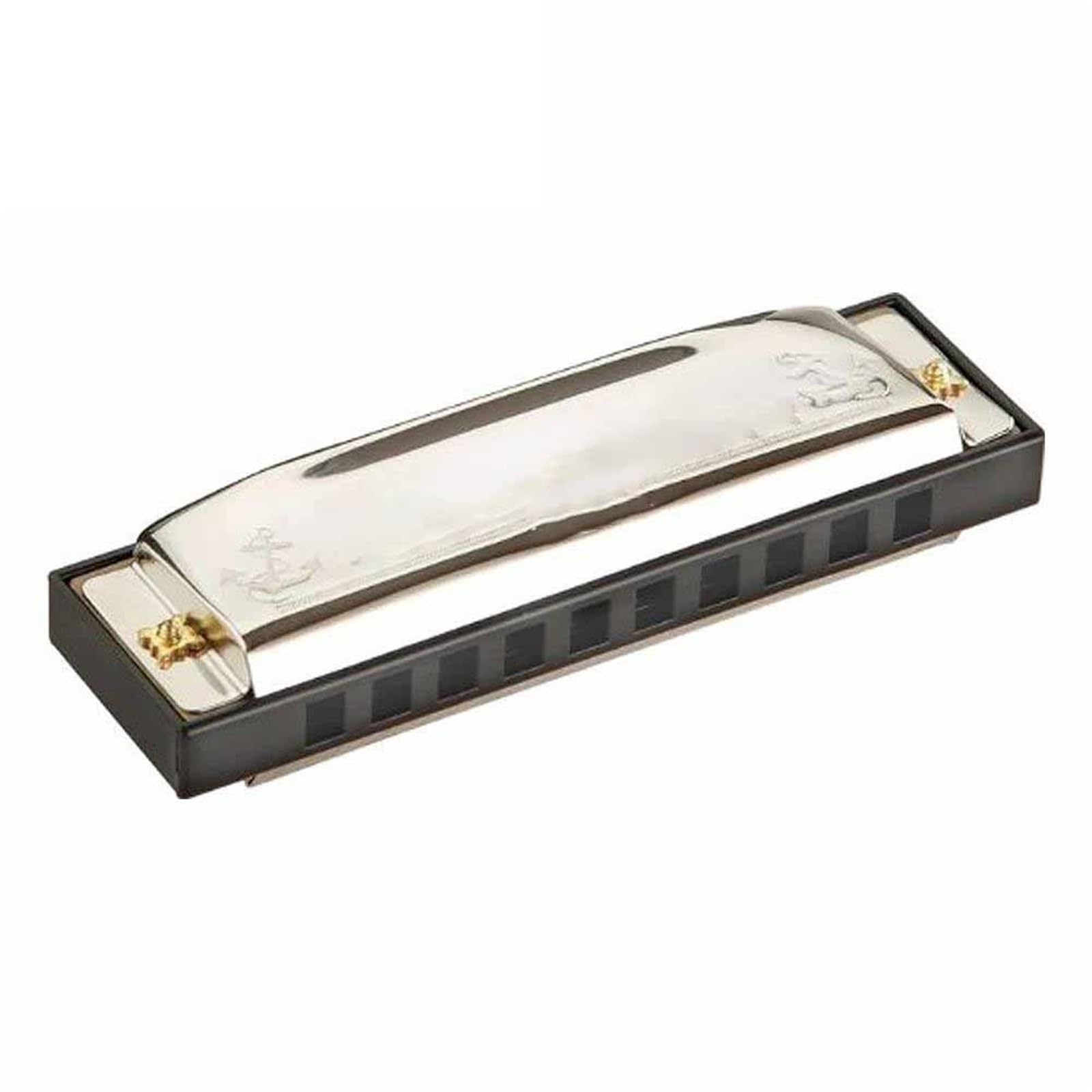 Principianti Armonica Armonica Blues A 10 Fori Arpa Diatonica Tonalità Di Do