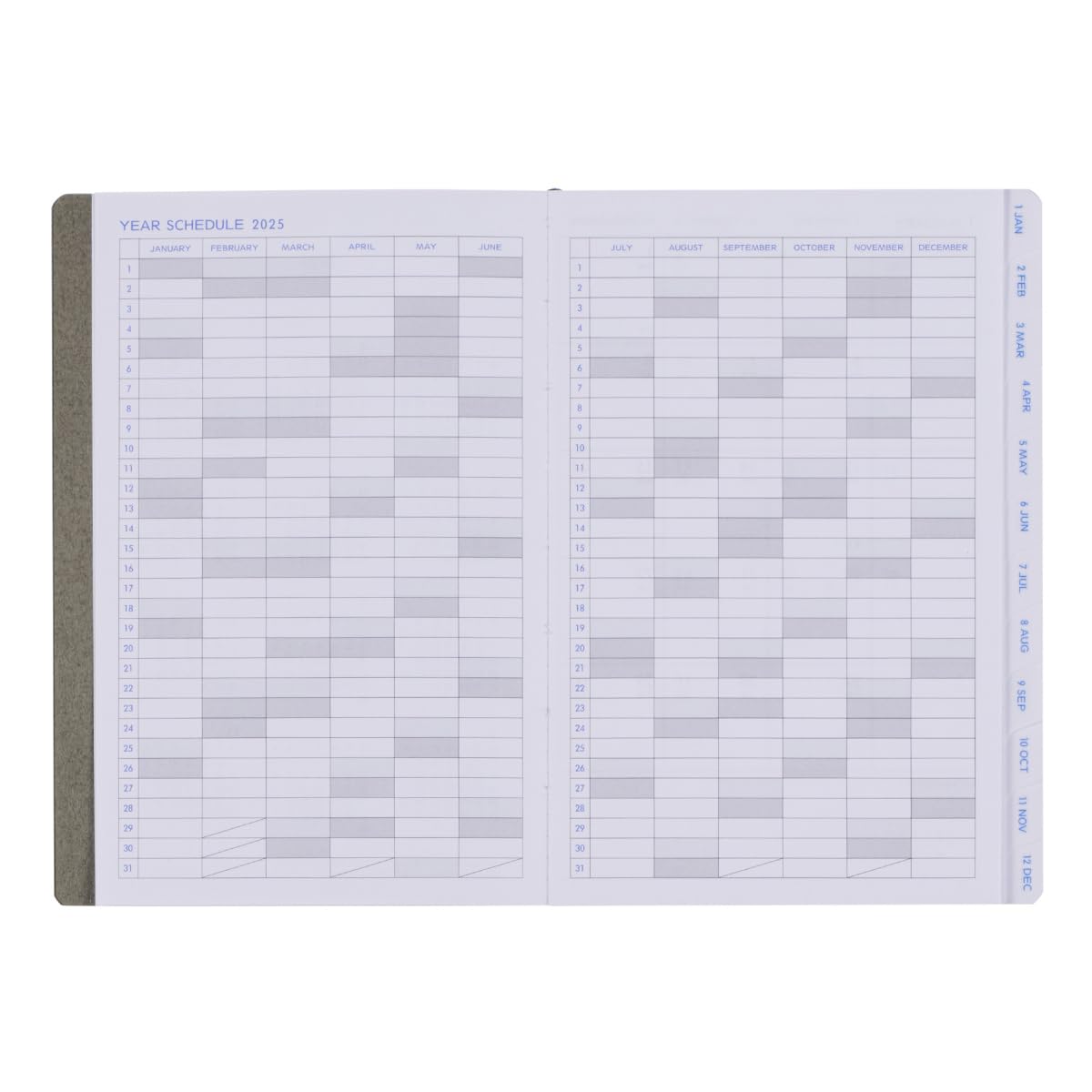 小2エブリスタデイ2024年5月号〜2025年3月号(ドリル