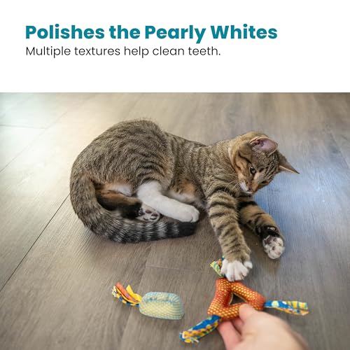 Petstages Catnip Dental Health Chews - Zahnpflege-Kauspielzeug für Katzen - Katzenminze - Mehrfarbig - 2 Stück