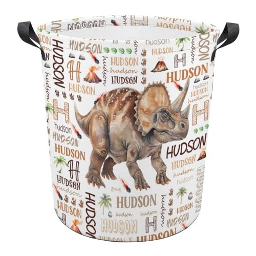 Dinosaur Laundry Basket,Custom Laundry Hamper with Name,Personalized Dinosaur Gifts for Boys Girls,Customize Collapsible Laundry Basket for Bedroom Bathroom,S-16.5